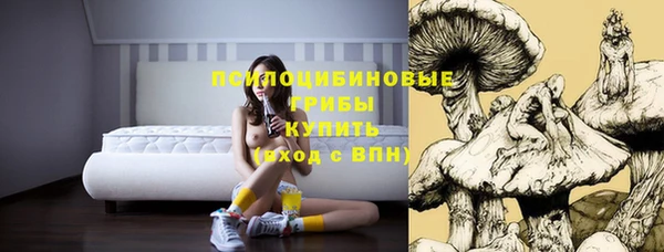 PSILOCYBIN Новозыбков