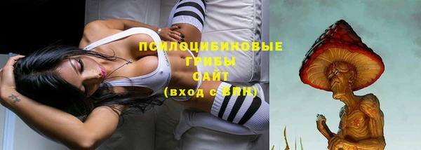каннабис Новокубанск