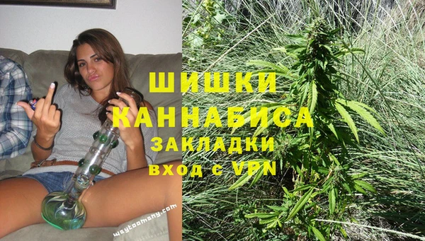 PSILOCYBIN Новозыбков