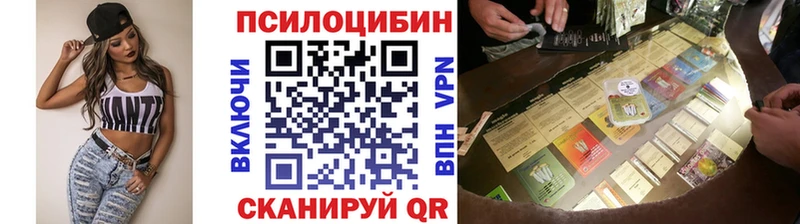 где купить наркотик  Кириллов  Галлюциногенные грибы Magic Shrooms 